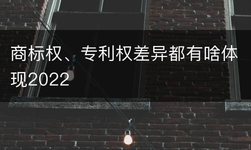 商标权、专利权差异都有啥体现2022