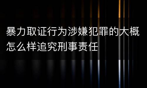 暴力取证行为涉嫌犯罪的大概怎么样追究刑事责任