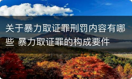 关于暴力取证罪刑罚内容有哪些 暴力取证罪的构成要件