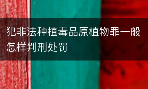 犯非法种植毒品原植物罪一般怎样判刑处罚