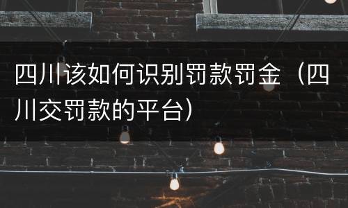 四川该如何识别罚款罚金（四川交罚款的平台）