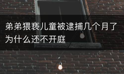 弟弟猥亵儿童被逮捕几个月了为什么还不开庭