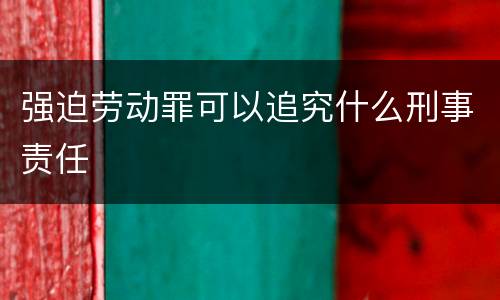 强迫劳动罪可以追究什么刑事责任