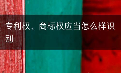 专利权、商标权应当怎么样识别