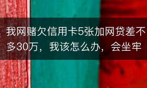 我网赌欠信用卡5张加网贷差不多30万，我该怎么办，会坐牢吗？没钱还，还不上了