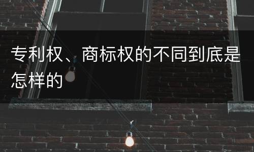 专利权、商标权的不同到底是怎样的