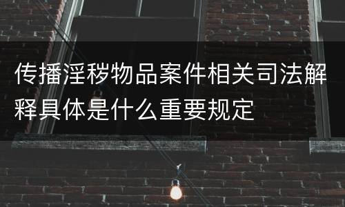 传播淫秽物品案件相关司法解释具体是什么重要规定