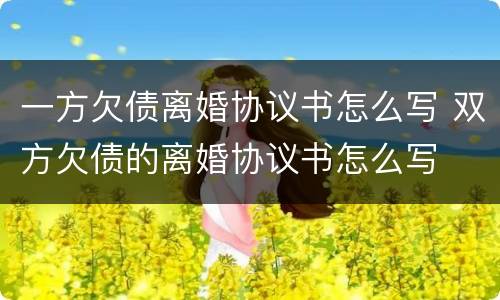 一方欠债离婚协议书怎么写 双方欠债的离婚协议书怎么写