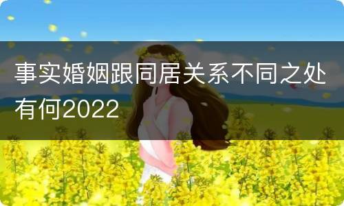 事实婚姻跟同居关系不同之处有何2022