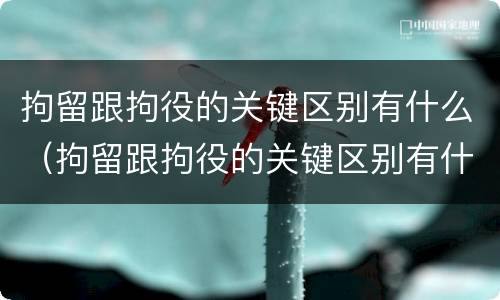 拘留跟拘役的关键区别有什么（拘留跟拘役的关键区别有什么区别呢）