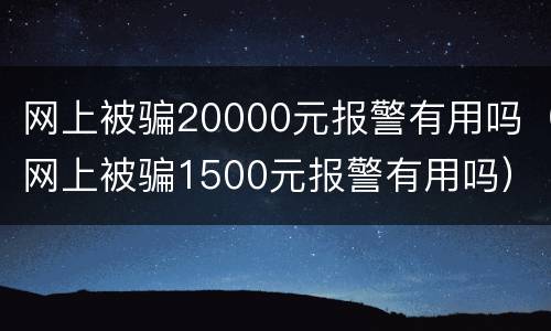 网上被骗20000元报警有用吗（网上被骗1500元报警有用吗）