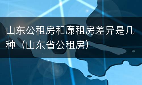 山东公租房和廉租房差异是几种（山东省公租房）