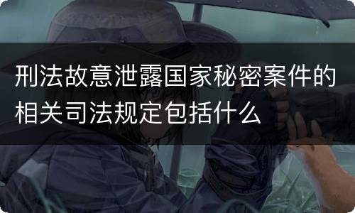 刑法故意泄露国家秘密案件的相关司法规定包括什么