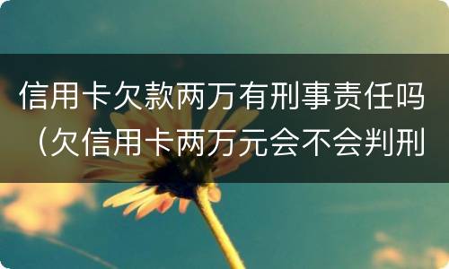 信用卡欠款两万有刑事责任吗（欠信用卡两万元会不会判刑）