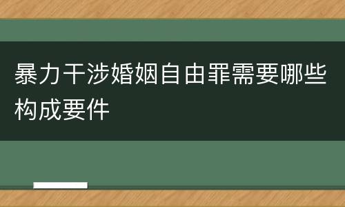 暴力干涉婚姻自由罪需要哪些构成要件