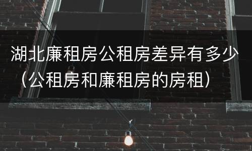 湖北廉租房公租房差异有多少（公租房和廉租房的房租）