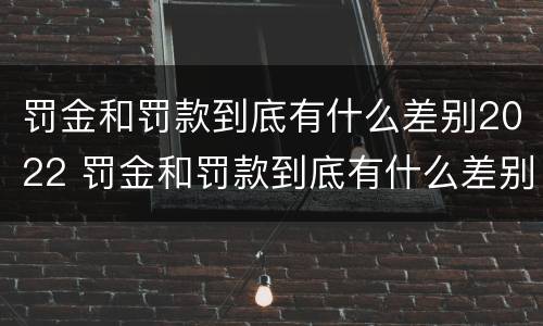 罚金和罚款到底有什么差别2022 罚金和罚款到底有什么差别2022年