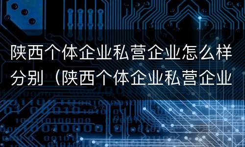 陕西个体企业私营企业怎么样分别（陕西个体企业私营企业怎么样分别缴税）