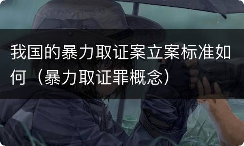 我国的暴力取证案立案标准如何（暴力取证罪概念）