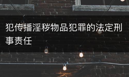 犯传播淫秽物品犯罪的法定刑事责任