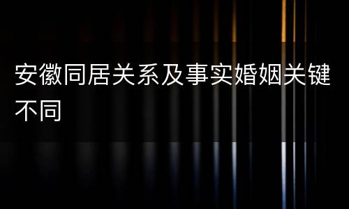 安徽同居关系及事实婚姻关键不同