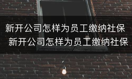 新开公司怎样为员工缴纳社保 新开公司怎样为员工缴纳社保费