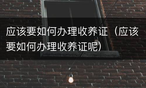 应该要如何办理收养证（应该要如何办理收养证呢）