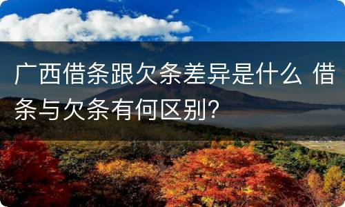 广西借条跟欠条差异是什么 借条与欠条有何区别?