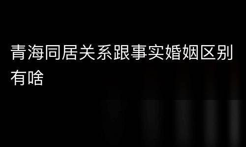 青海同居关系跟事实婚姻区别有啥