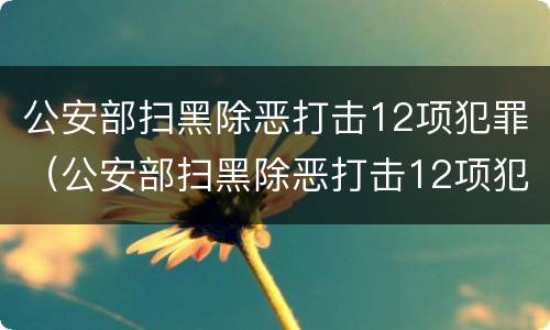 公安部扫黑除恶打击12项犯罪（公安部扫黑除恶打击12项犯罪活动）