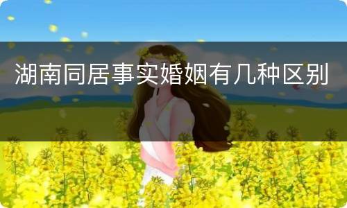 湖南同居事实婚姻有几种区别