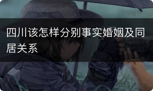 四川该怎样分别事实婚姻及同居关系