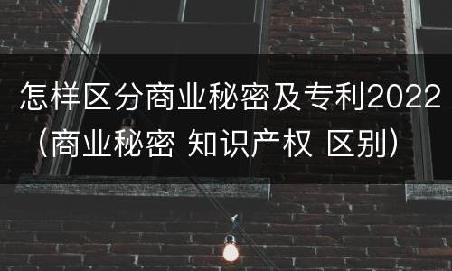 怎样区分商业秘密及专利2022（商业秘密 知识产权 区别）