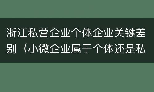 浙江私营企业个体企业关键差别（小微企业属于个体还是私营）