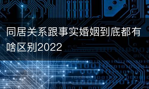 同居关系跟事实婚姻到底都有啥区别2022