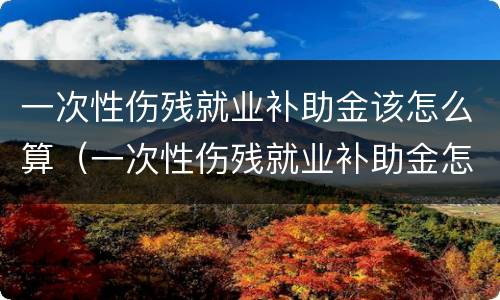 一次性伤残就业补助金该怎么算（一次性伤残就业补助金怎么算的）