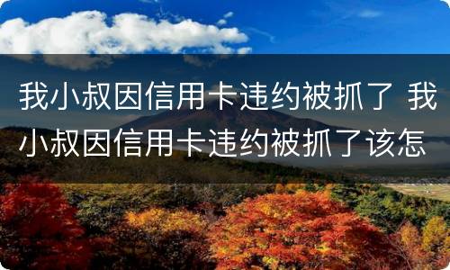 我小叔因信用卡违约被抓了 我小叔因信用卡违约被抓了该怎么办