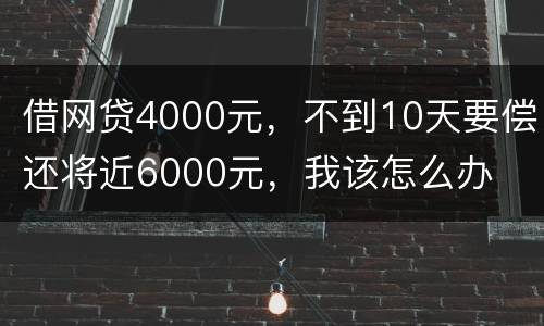 借网贷4000元，不到10天要偿还将近6000元，我该怎么办