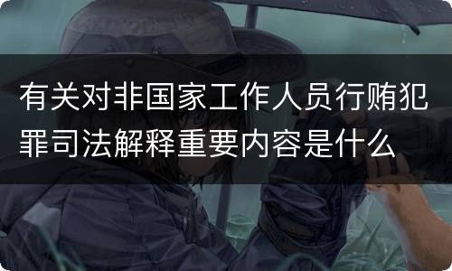 有关对非国家工作人员行贿犯罪司法解释重要内容是什么