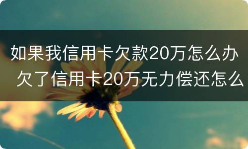 如果我信用卡欠款20万怎么办 欠了信用卡20万无力偿还怎么办