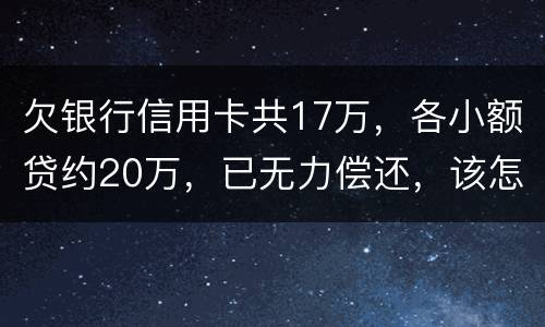 欠银行信用卡共17万，各小额贷约20万，已无力偿还，该怎么办