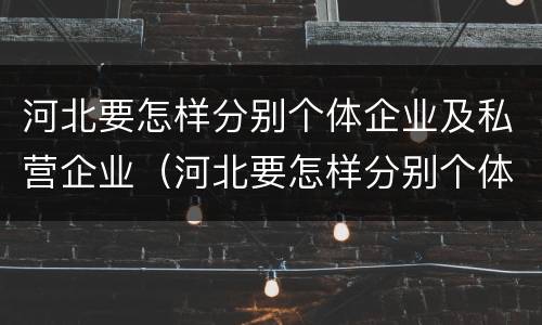 河北要怎样分别个体企业及私营企业（河北要怎样分别个体企业及私营企业呢）