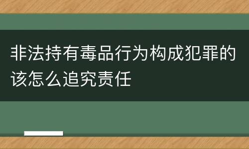 非法持有毒品行为构成犯罪的该怎么追究责任