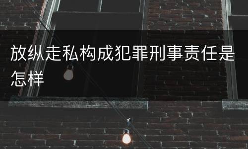 放纵走私构成犯罪刑事责任是怎样