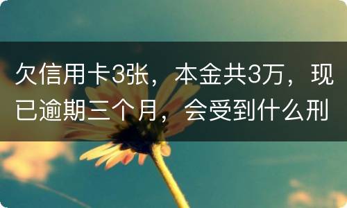 欠信用卡3张，本金共3万，现已逾期三个月，会受到什么刑罚