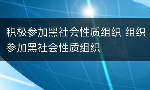 积极参加黑社会性质组织 组织参加黑社会性质组织