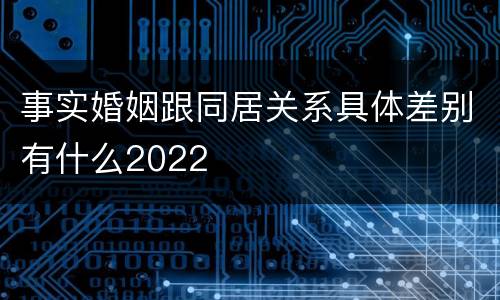 事实婚姻跟同居关系具体差别有什么2022