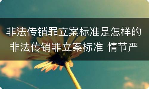 非法传销罪立案标准是怎样的 非法传销罪立案标准 情节严重