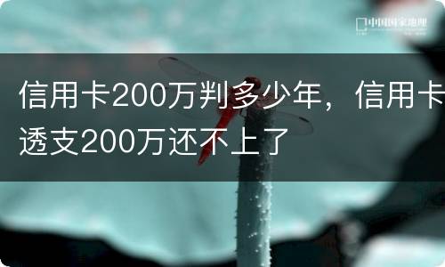 信用卡200万判多少年，信用卡透支200万还不上了