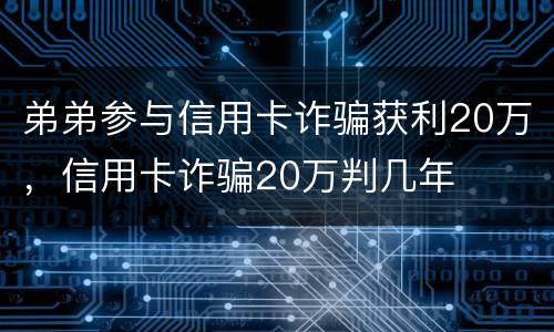 弟弟参与信用卡诈骗获利20万，信用卡诈骗20万判几年